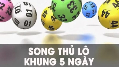 Song thủ đề nuôi khung 5 ngày để đạt kết quả tốt nhất