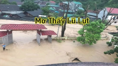 Giấc mơ thấy lũ lụt và con số nào có thể mang lại may mắn?