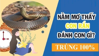 Ý nghĩa giấc mơ thấy rắn cắn và những con số may mắn cho cược thủ