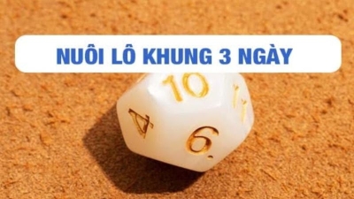 Nuôi lô cặp khung 3 ngày – Có nên áp dụng lâu dài?